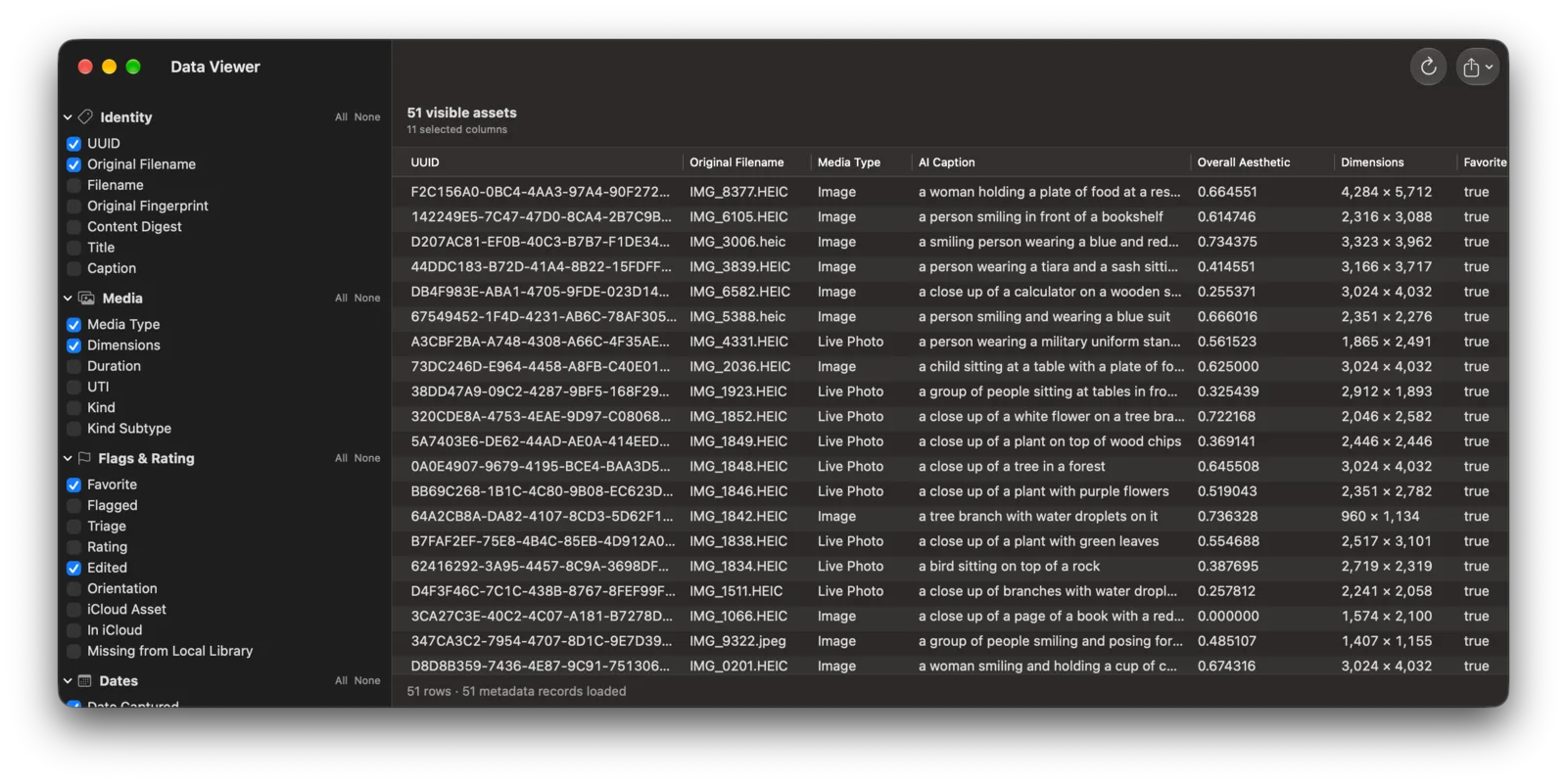 Data Viewer displaying photo metadata, AI captions, dimensions, and quality scores in a table